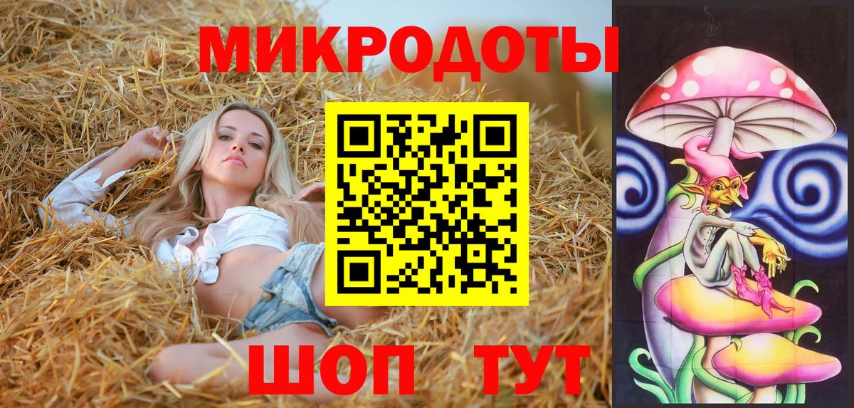 Псилоцибиновые грибы Psilocybine cubensis  Вход с VPN  Острогожск 